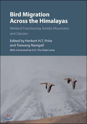 Bird Migration Across the Himalayas: Wetland Functioning Amidst Mountains and Glaciers