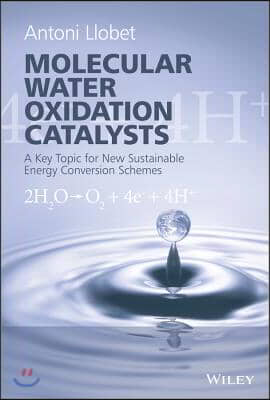 Molecular Water Oxidation Catalysis: A Key Topic for New Sustainable Energy Conversion Schemes