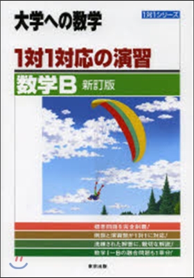 1對1對應の演習 數學B 新訂版