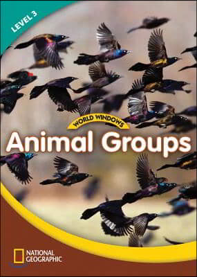 World Windows 3 (Science): Animal Groups: Content Literacy, Nonfiction Reading, Language &amp; Literacy