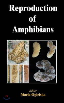 Reproduction of Amphibians