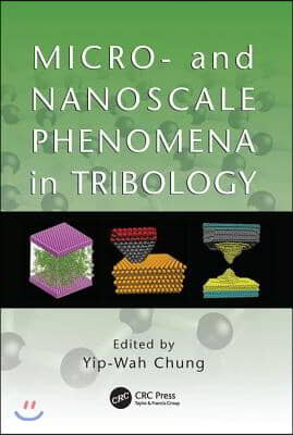 Micro- and Nanoscale Phenomena in Tribology