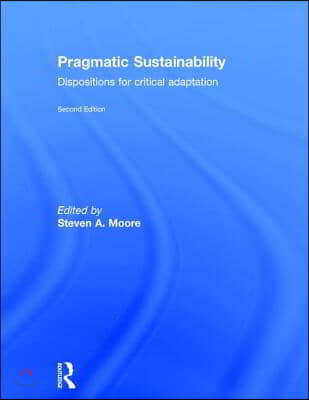 Pragmatic Sustainability