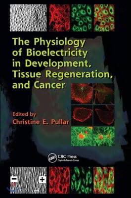 Physiology of Bioelectricity in Development, Tissue Regeneration and Cancer