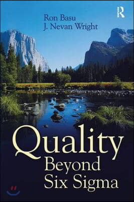 Quality Beyond Six Sigma