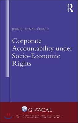 Corporate Accountability under Socio-Economic Rights