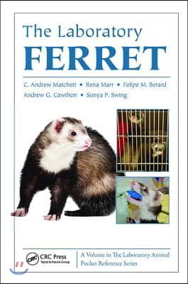 Laboratory Ferret