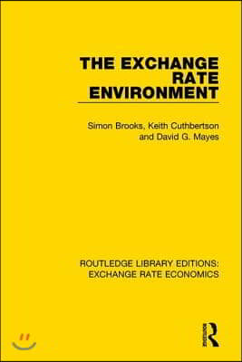 Exchange Rate Environment