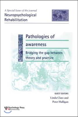 Pathologies of Awareness: Bridging the Gap between Theory and Practice