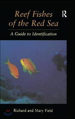 Reef Fish Of The Red Sea