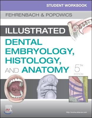 Student Workbook for Illustrated Dental Embryology, Histology and Anatomy