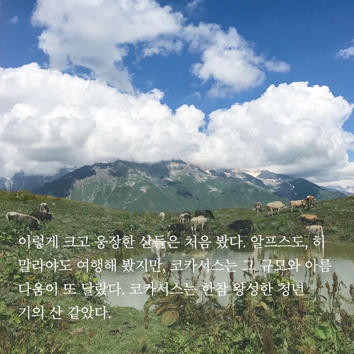 카드뉴스4