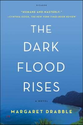 The Dark Flood Rises (Paperback)