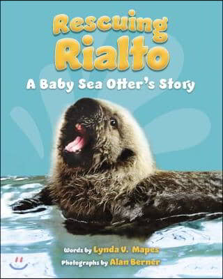 Rescuing Rialto: A Baby Sea Otter&#39;s Story