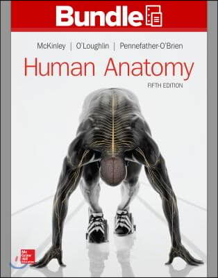 Human Anatomy