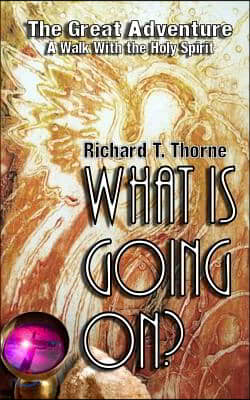 What Is Going On?: The Great Adventure - A Walk With the Holy Spirit