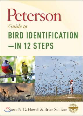 Peterson Guide to Bird Identification--In 12 Steps