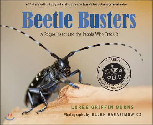 Beetle Busters: A Rogue Insect and the People Who Track It