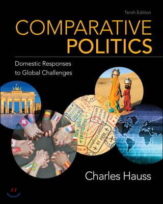 Comparative Politics: Domestic Responses to Global Challenges