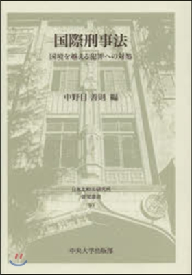 國際刑事法 國境を越える犯罪への對處