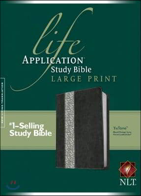 Life Application Study Bible