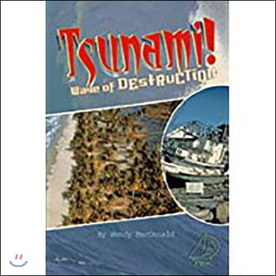 Tsunami! Wave of Destruction: Leveled Reader Bookroom Package Red