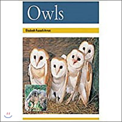 Owls: Leveled Reader Bookroom Package Gold (Levels 21-22)