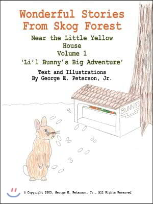 Wonderful Stories From Skog Forest: Near the Little Yellow House Volume 1 'Li'l Bunny's Big Adventure'