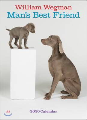 William Wegman Man&#39;s Best Friend 2020 Wall Calendar