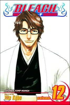 Bleach, Vol. 12