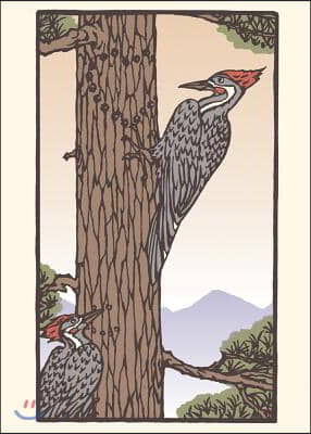 Woodpecker