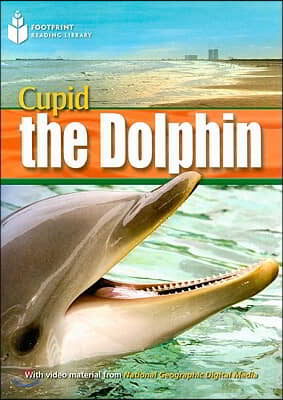Cupid the Dolphin: Footprint Reading Library 4