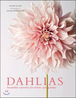 Dahlias: Beautiful Varieties for Home &amp; Garden