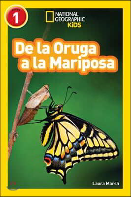 National Geographic Readers: de la Oruga a la Mariposa (Caterpillar to Butterfly)