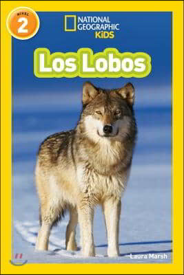 Los Lobos (Wolves) (National Geographic Kids Readers, Nivel 2)