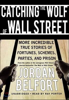 Catching the Wolf of Wall Street: More Incredible True Stories of Fortunes, Schemes, Parties, and Prison