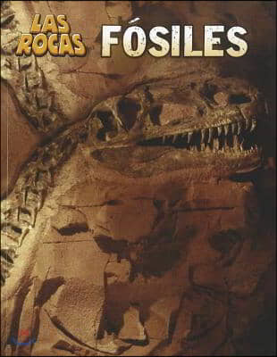 Fosiles/ Fossils