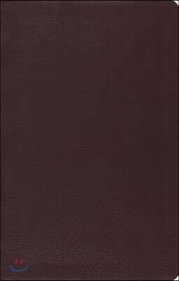 Large Print Thinline Reference Bible-ESV