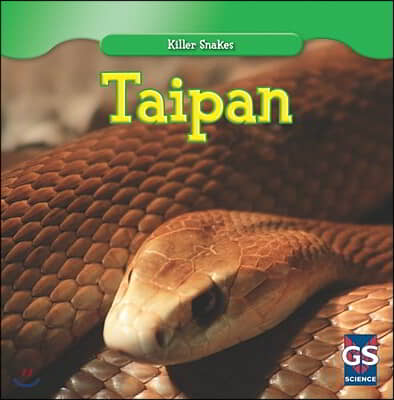 Taipan