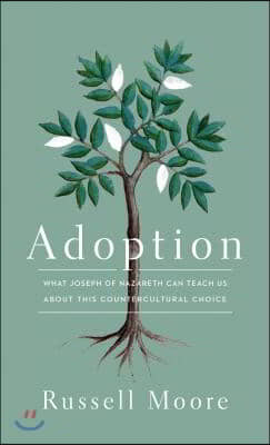 Adoption: What Joseph of Nazareth Can Teach Us about This Countercultural Choice