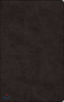 ESV Large Print Value Thinline Bible (Trutone, Black)