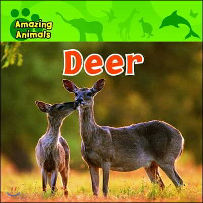 Deer