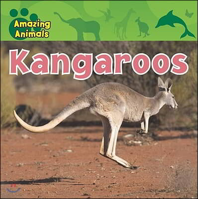 Kangaroos