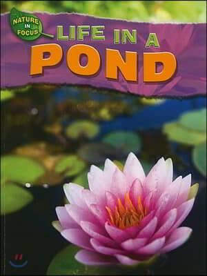 Life in a Pond