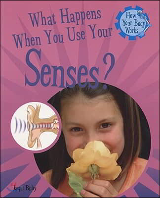 What Happens When You Use Your Senses?