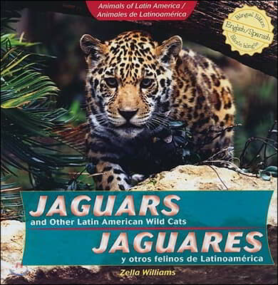 Jaguars and Other Latin American Wild Cats / Jaguares Y Otros Felinos de Latinoamerica