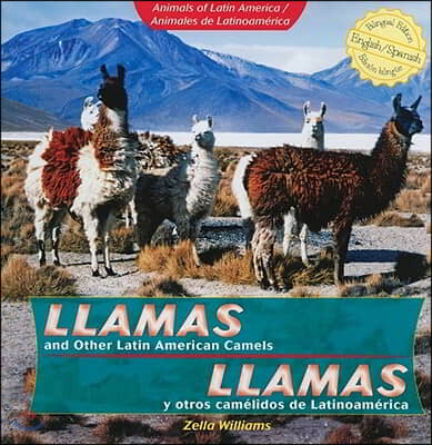 Llamas and Other Latin American Camels / Llamas Y Otros Camelidos de Latinoamerica