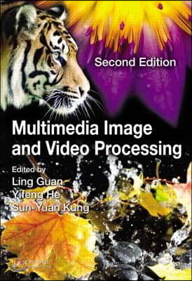 Multimedia Image and Video Processing