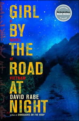 Girl by the Road at Night: A Novel of Vietnam