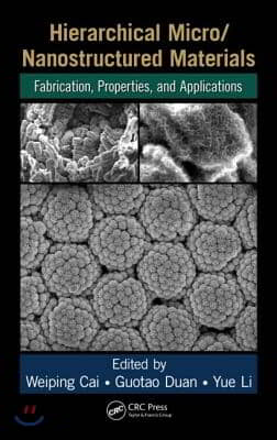 Hierarchical Micro/Nanostructured Materials